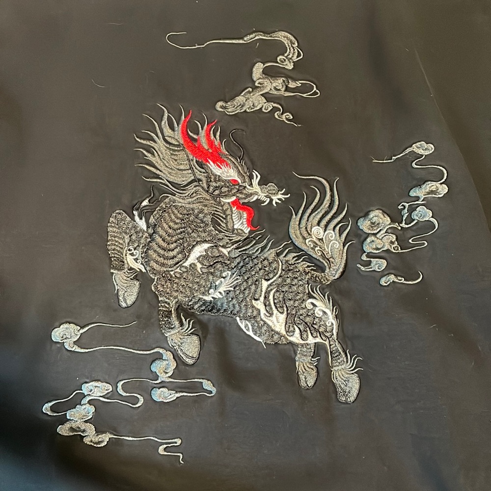 Embroidered dragon hoodie medium